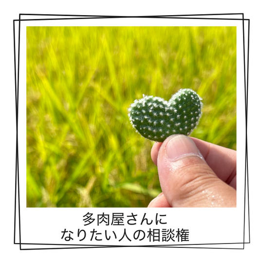 多肉屋さんになりたい人の相談乗ります