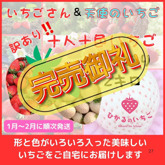 訳あり‼「十人十色いちご」バラ２キロ入り