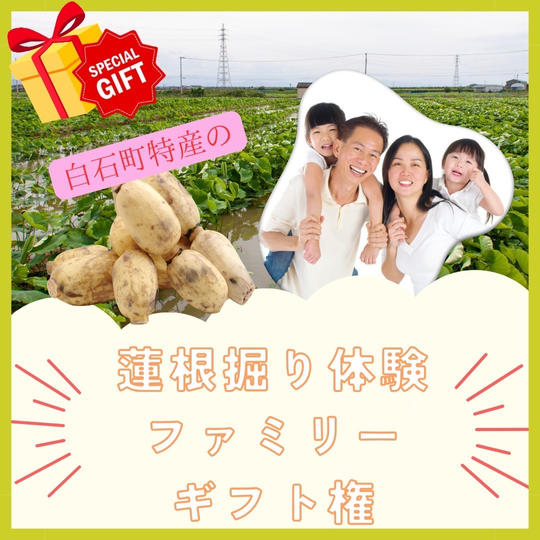 蓮根掘り体験ファミリーギフト権