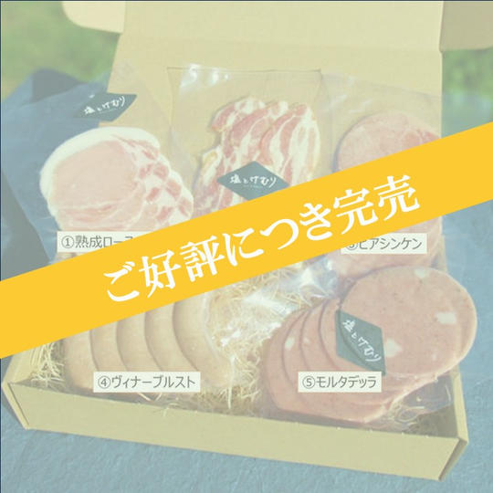 【限定5セット！年内発送】塩とけむりを知るならまずはこれ。【お試し５点セット】【冷凍送料込】