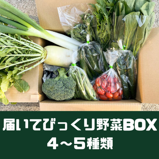 届いてびっくり野菜BOX(4~5種類)