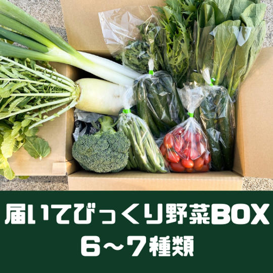 届いてびっくり野菜BOX(6~7種類)