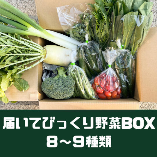届いてびっくり野菜BOX(8~9種類)