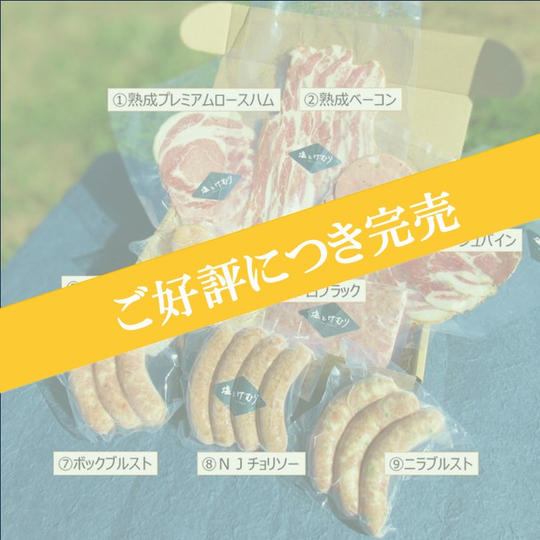 【限定5セット！年内発送】塩とけむりの最高級２商品（スモークド合鴨と国産牛コンビーフ）を含む【贅沢９点セット】