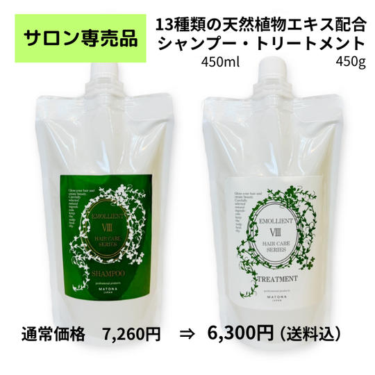 新プロジェクト始動記念♪美容師さんオススメアミノ酸系シャンプートリートメントセット【発送】