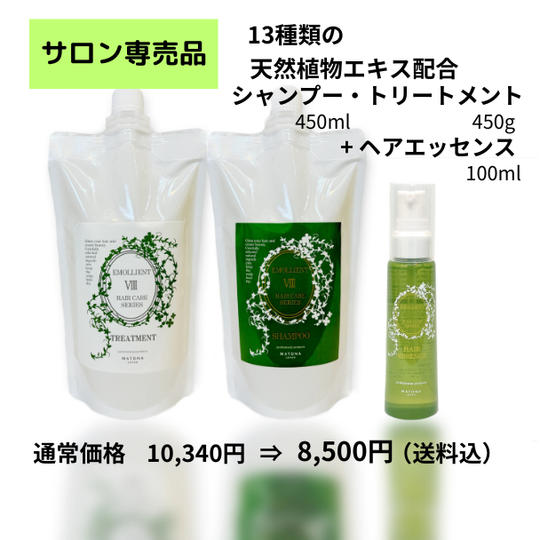 新プロジェクト始動記念♪美容師さんオススメアミノ酸系シャンプー・トリートメント+ヘアエッセンスセット【発送】