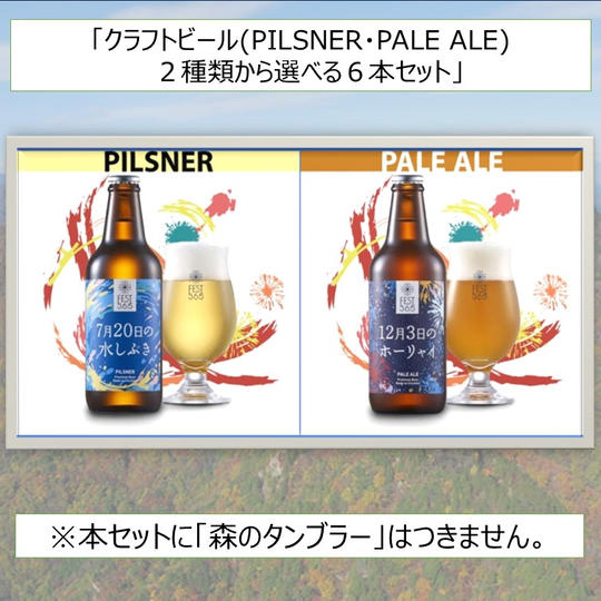 クラフトビール 2種類から選べる6本セット