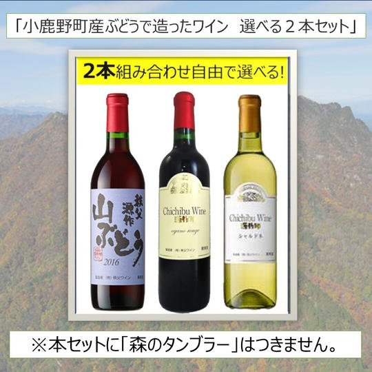 小鹿野町産のぶどうで造ったワイン選べる２本セット