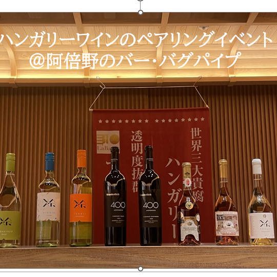 ハンガリーワインペアリングイベント参加券