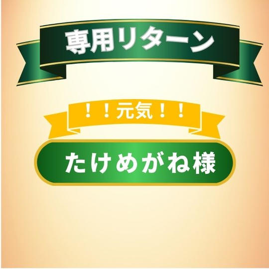 たけめがねさん専用リターン