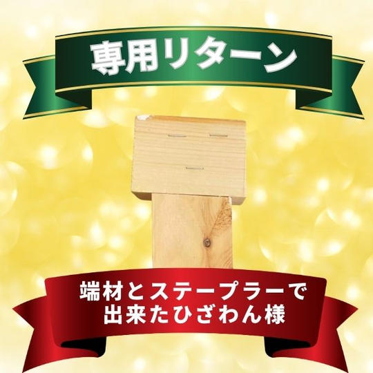 ひざわんさん専用リターン