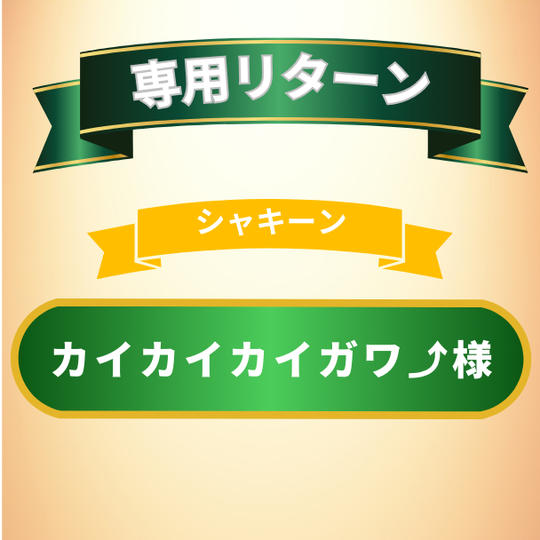 カイカイカイガワ⤴様　専用リターン