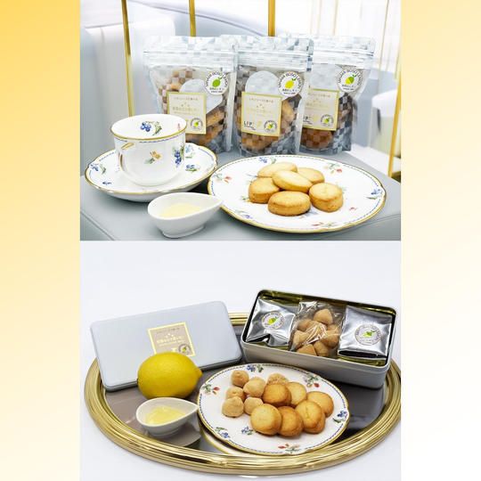 【特別セット】安房の三ツ星レモンプチフールセック2025