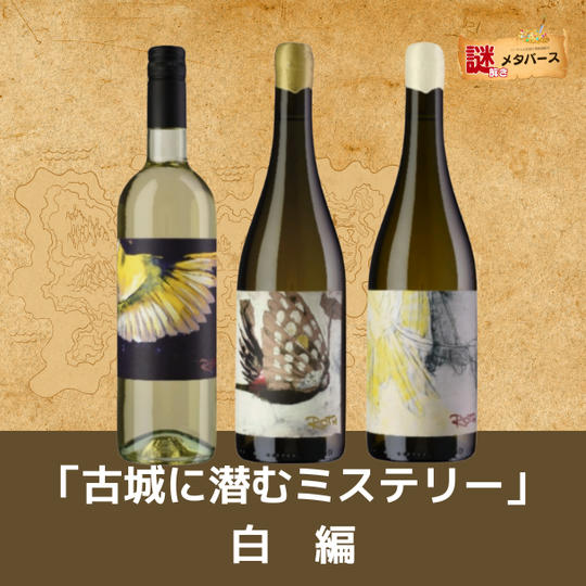 【謎解きメタバース】「古城に潜むミステリー」白編