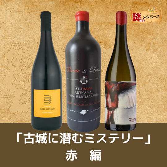 【謎解きメタバース】「古城に潜むミステリー」赤編