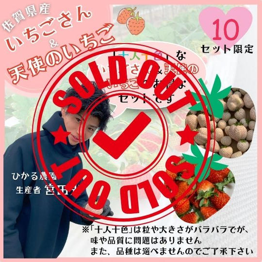 ひかるのいちご「十人十色」限定セット