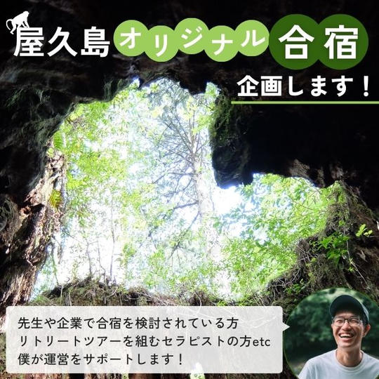 屋久島リトリートガイド〜オリジナル合宿プランを企画