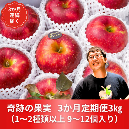 【3kg×3か月定期便】奇跡の果実　9～12個