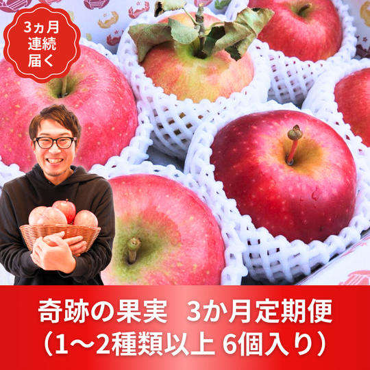 【6個×3か月定期便】奇跡の果実　詰め合わせ　