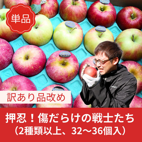 魁！傷だらけの戦士たち（訳ありりんご）１０㌔