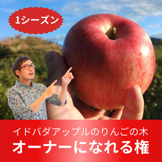 イドバダアップルのりんごの木　オーナーになれる権【1シーズン】