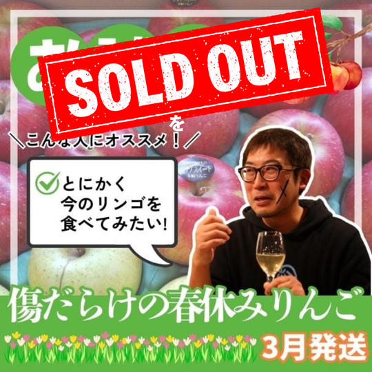 【お試し】傷だらけの春休みりんご【3月発送6個入】