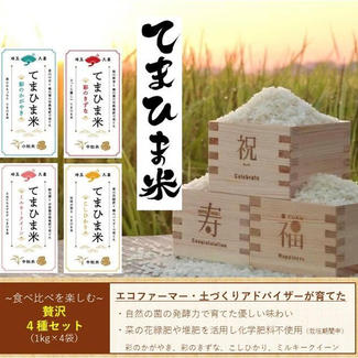 【てまひま米】4種1kgずつ食べ比べ(こしひかり/ミルキークイーン/彩のかがやき/彩のきずな)