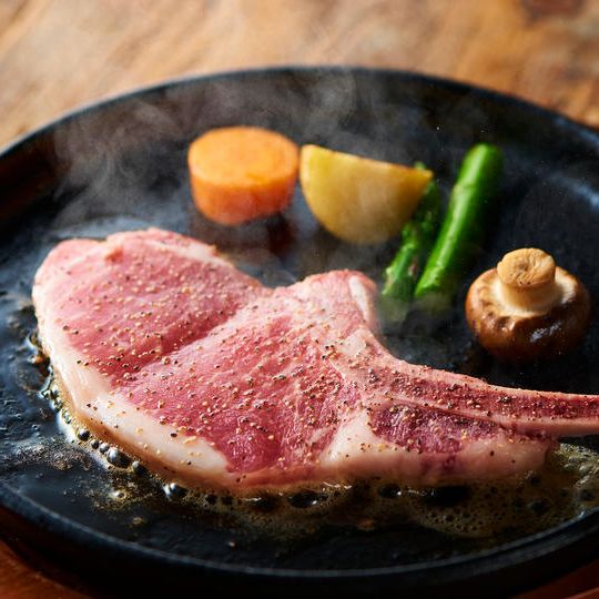 レアル・ベジョータ入門セット