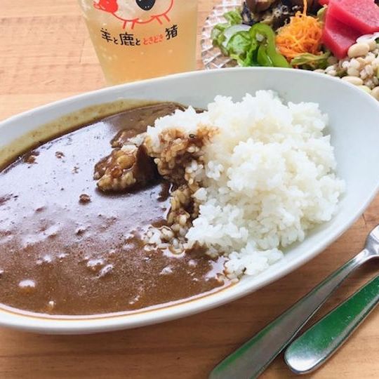 ジビエカレー2食分