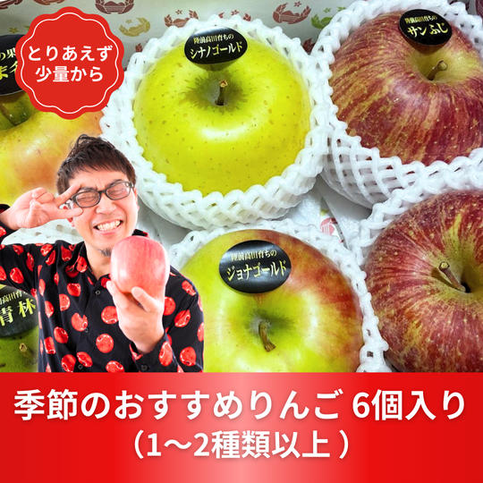 【少なめサイズ】季節のおすすめりんご　6個入り
