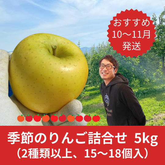 季節のりんご　詰め合わせ５kg（12～20個）10～11月お届け