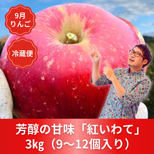 【単品】紅いわて３kg　25年９月下旬発送予定【先行予約】