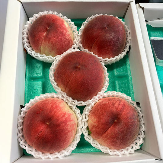 🍇 ¥8,000コース｜山梨の絶品フルーツ🍑【桃】