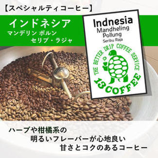 【スペシャルティーコーヒー】インドネシア「マンデリン ポルン セリブ・ラジャ」