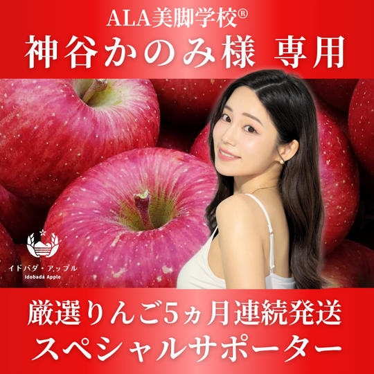 神谷かのみ様専用　厳選りんご5ヵ月連続発送　スペシャルサポーター