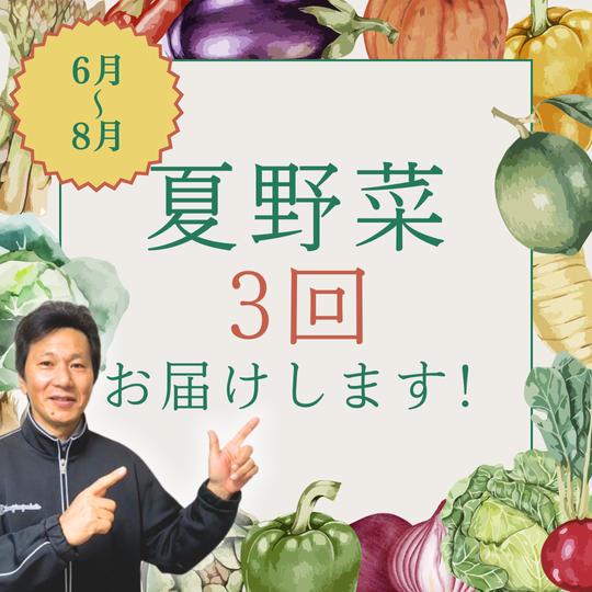 【3回】夏野菜をお届けします！