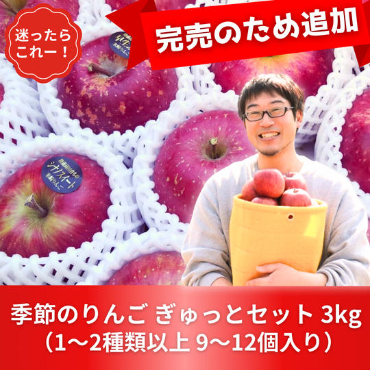 【迷ったらコレ！】季節のりんご ぎゅっとセット 3kg【完売により追加】