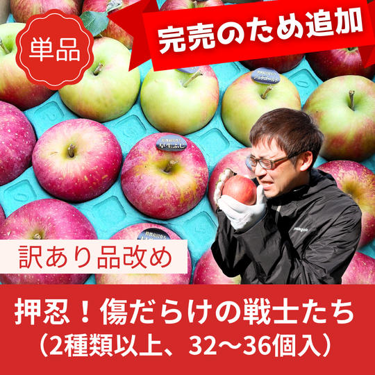 【売切れにつき再販】魁！傷だらけの戦士たち（訳ありりんご）１０㌔