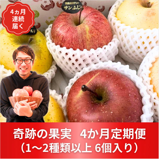【6個×4ヵ月定期便】奇跡の果実　詰め合わせ	編集 概要	