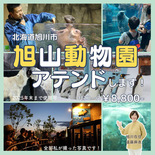 5323 旭山動物園アテンドします！