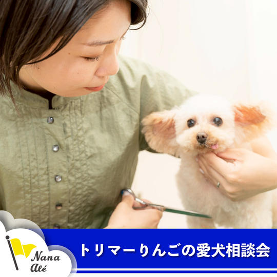 トリマーりんごの愛犬相談会参加権