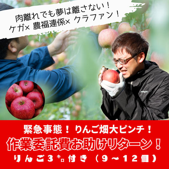 緊急事態！肉離れ！作業委託費を助けてほしい！（りんご3㌔付き）