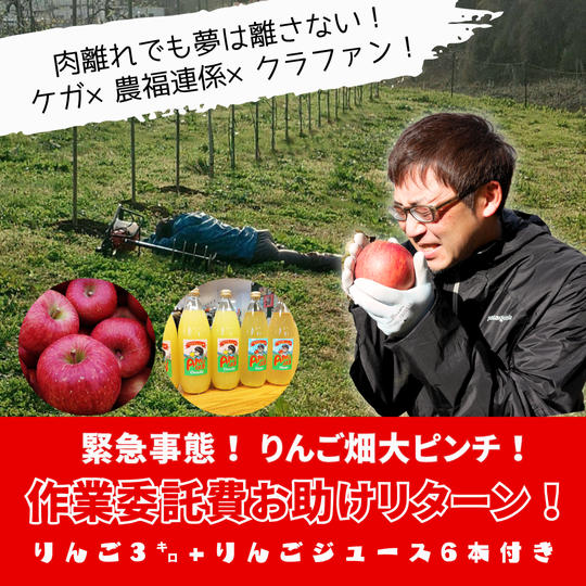 緊急事態！肉離れ！作業委託費を助けてほしい！（りんご3㌔+ジュース6本付）