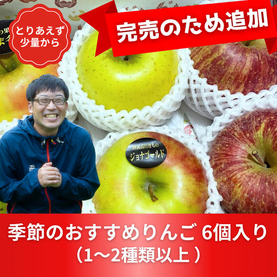 【完売につき再販】季節のおすすめりんご　6個入り【少なめサイズ】