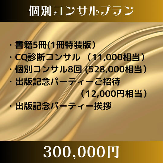 個人コンサルプラン