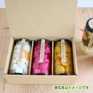 【熨斗対応】ふぉれピクルス3本ギフトセット