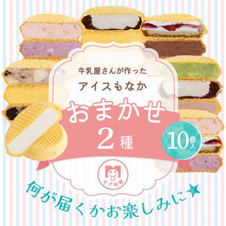 【熨斗対応】アイスもなか おまかせ2種セット ※冷凍
