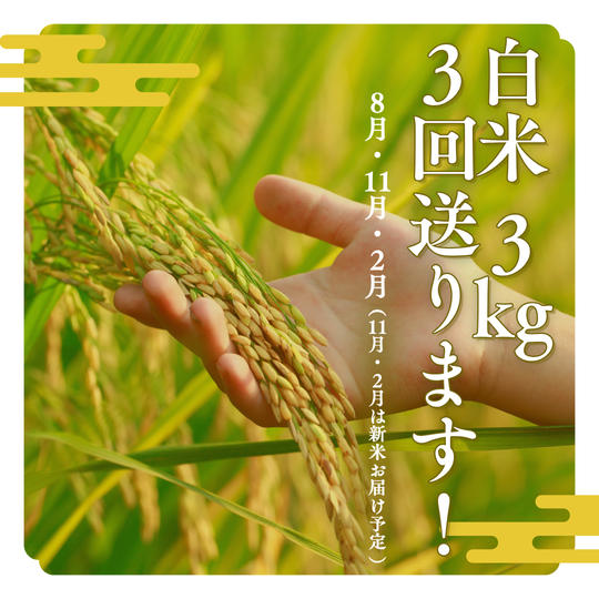 白米3kgを3回送ります（ 8月、11月、2月）