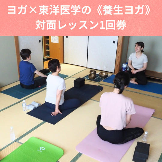 ヨガ×東洋医学《養生ヨガ》対面レッスン1回券