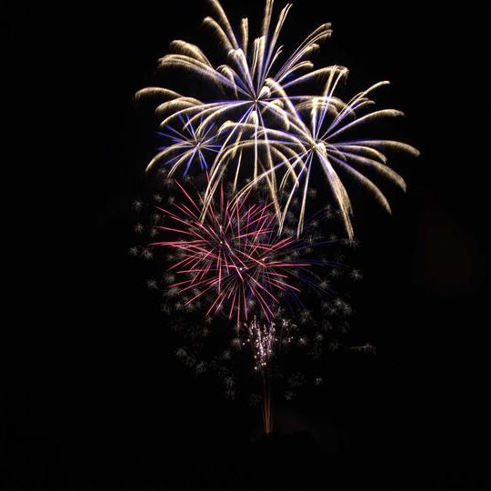 5,000円プラン（花火画像＋公式HPへお名前掲載＋御礼メール）